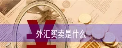 帐户外汇与外汇买卖(帐户外汇与外汇买卖的关系)