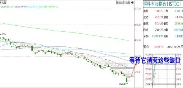 天弘恒生科技指数(天弘恒生科技指数今日涨跌)