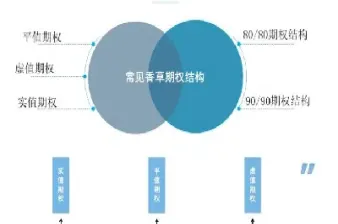 场外期权结构包括哪些(场外期权的特点包括)