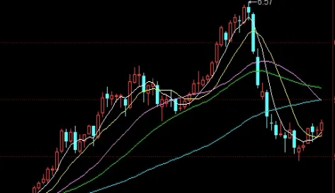 上海黄金交易所最大持仓(上海黄金交易所实时行情查询)