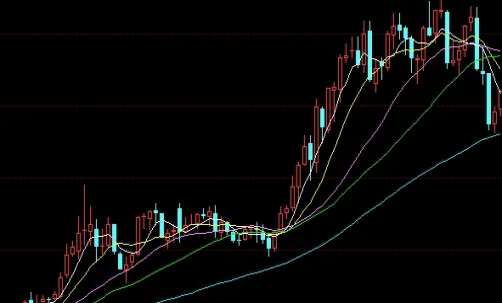 鲁证期货网上交易(鲁证期货怎样查手续费)