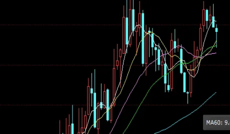 菜粕期货每年规律(菜粕期货波动大吗)