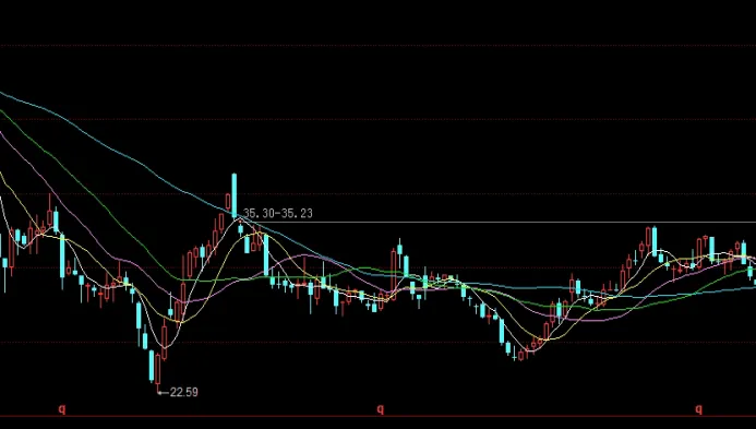 期指数据怎样查(期指数据在哪里看)