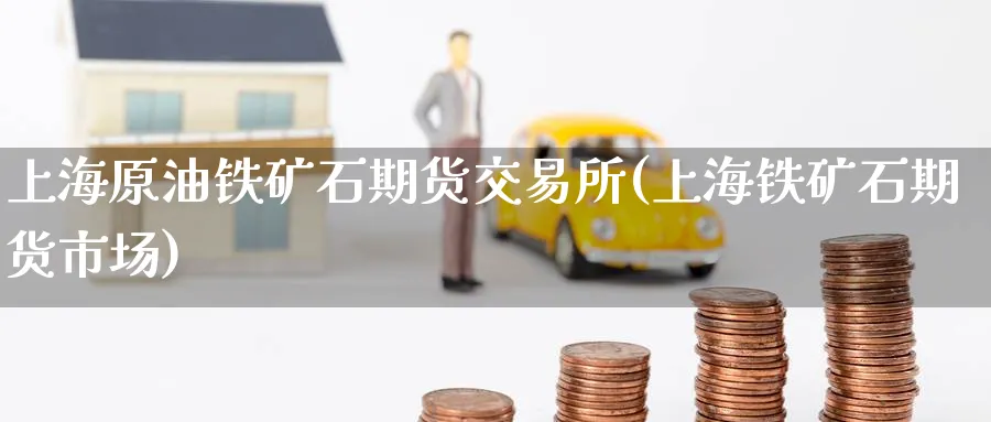 上海原油铁矿石期货交易所(上海铁矿石期货市场)