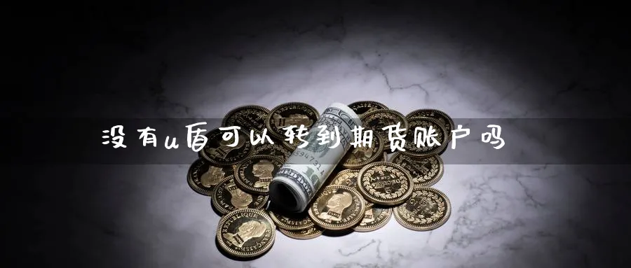 没有u盾可以转到期货账户吗