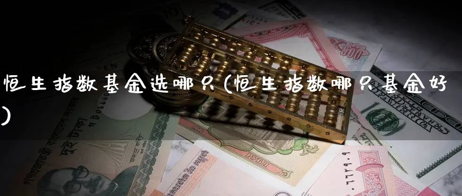 恒生指数基金选哪只(恒生指数哪只基金好)_https://www.lytzg.com_原油期货学院_第1张