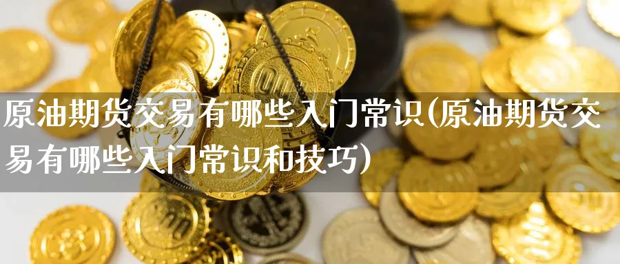 原油期货交易有哪些入门常识(原油期货交易有哪些入门常识和技巧)