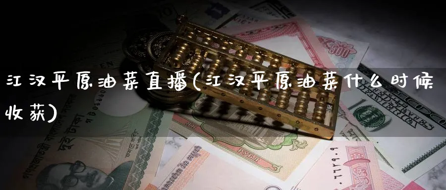 江汉平原油菜直播(江汉平原油菜什么时候收获)