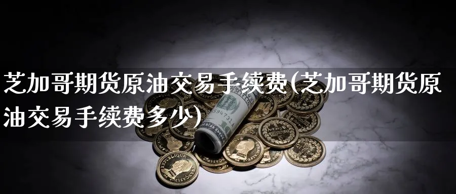 芝加哥期货原油交易手续费(芝加哥期货原油交易手续费多少)