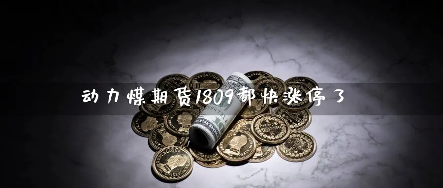 动力煤期货1809都快涨停了