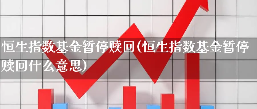 恒生指数基金暂停赎回(恒生指数基金暂停赎回什么意思)