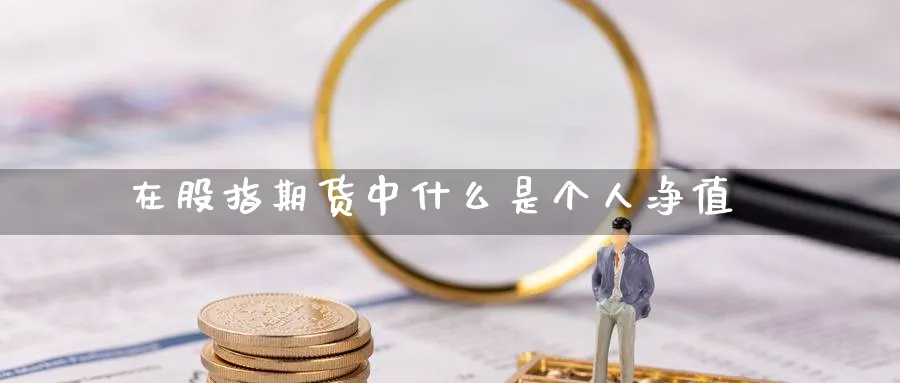 在股指期货中什么是个人净值