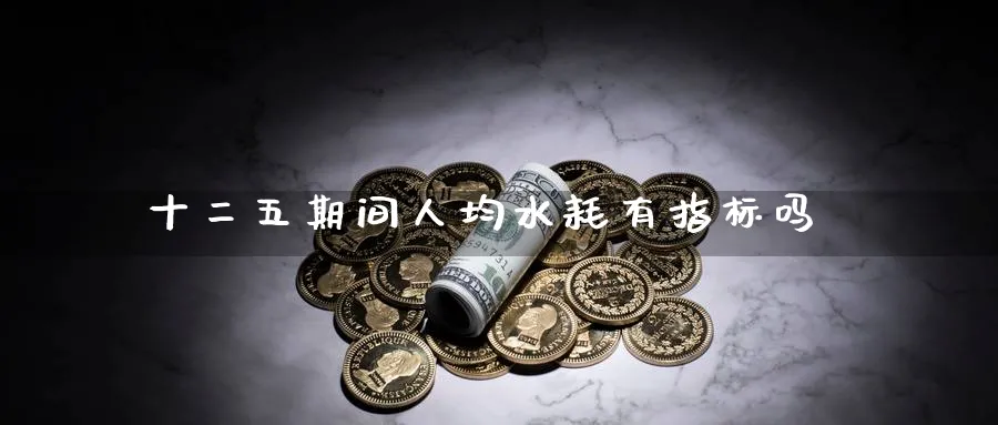 十二五期间人均水耗有指标吗