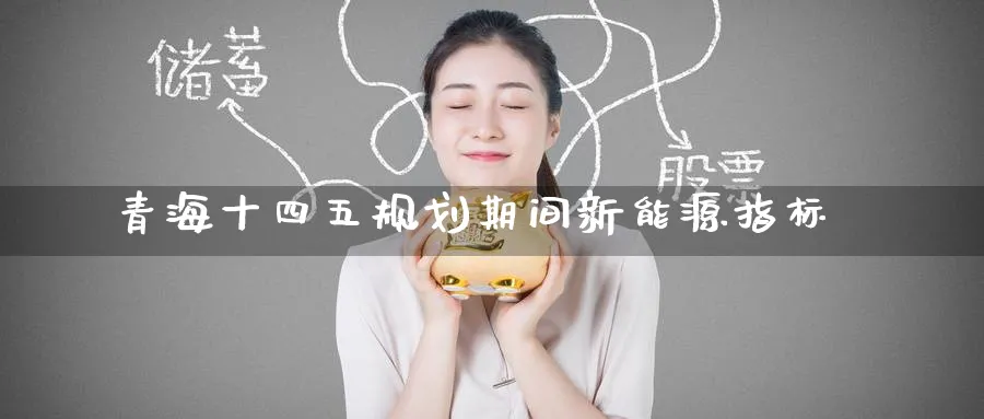 青海十四五规划期间新能源指标