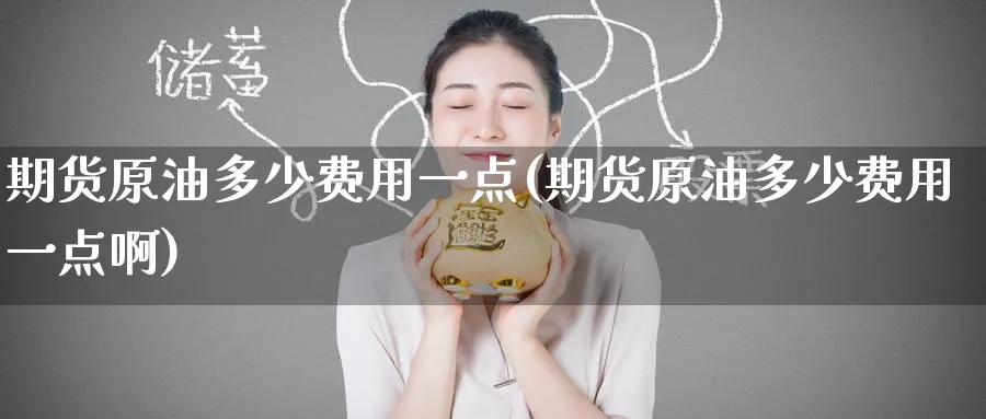 期货原油多少费用一点(期货原油多少费用一点啊)