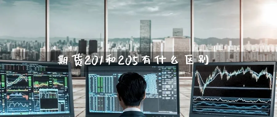 期货201和205有什么区别