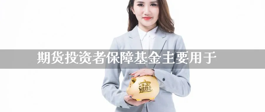 期货投资者保障基金主要用于