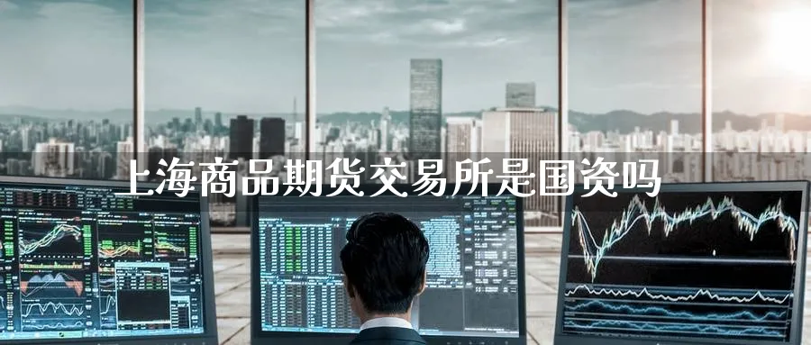 上海商品期货交易所是国资吗
