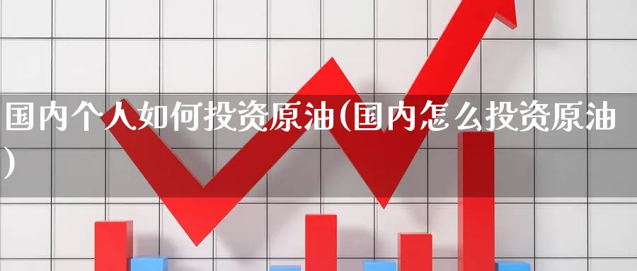 国内个人如何投资原油(国内怎么投资原油)