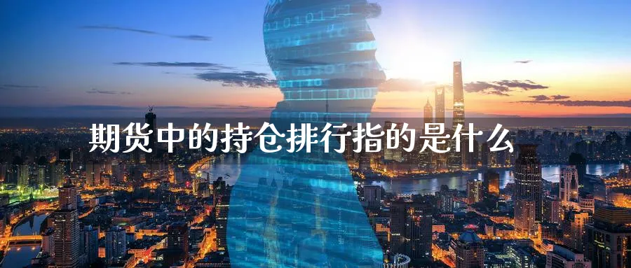期货中的持仓排行指的是什么