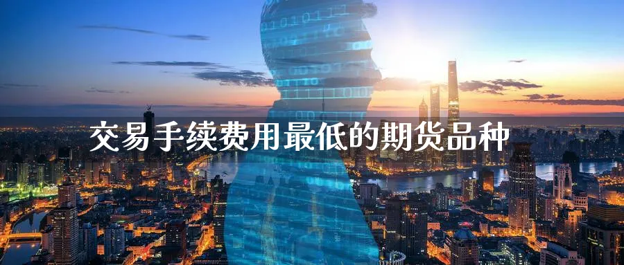 交易手续费用最低的期货品种_https://www.lytzg.com_美原油期货_第1张