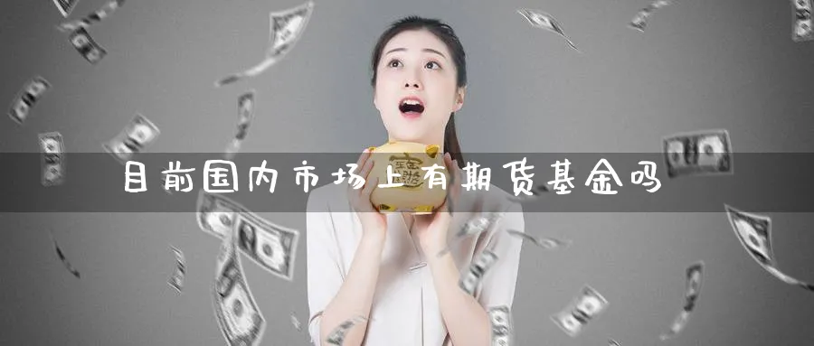 目前国内市场上有期货基金吗