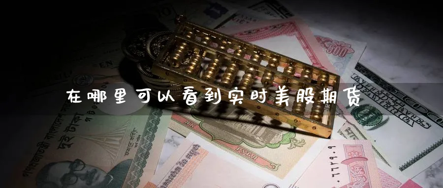 在哪里可以看到实时美股期货_https://www.lytzg.com_原油期货学院_第1张