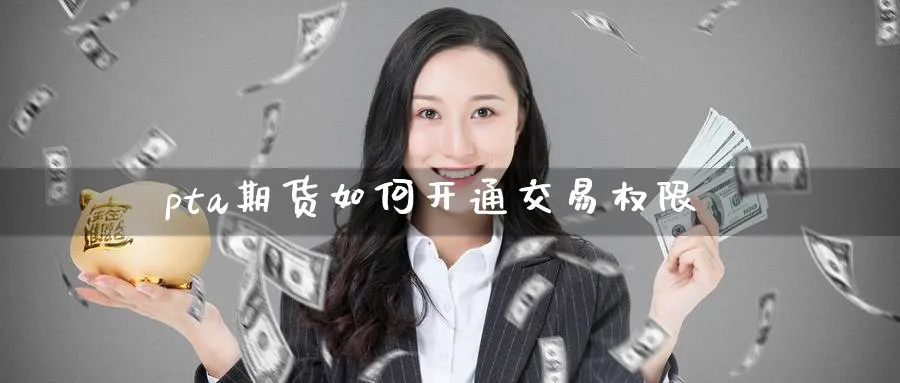 pta期货如何开通交易权限