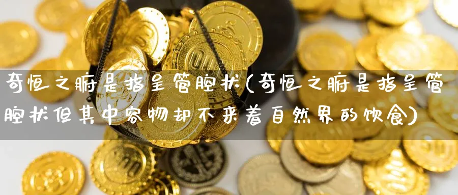 奇恒之腑是指呈管腔状(奇恒之腑是指呈管腔状但其中容物却不来着自然界的饮食)_https://www.lytzg.com_美原油期货_第1张