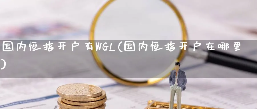 国内恒指开户有WGL(国内恒指开户在哪里)