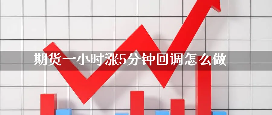 期货一小时涨5分钟回调怎么做