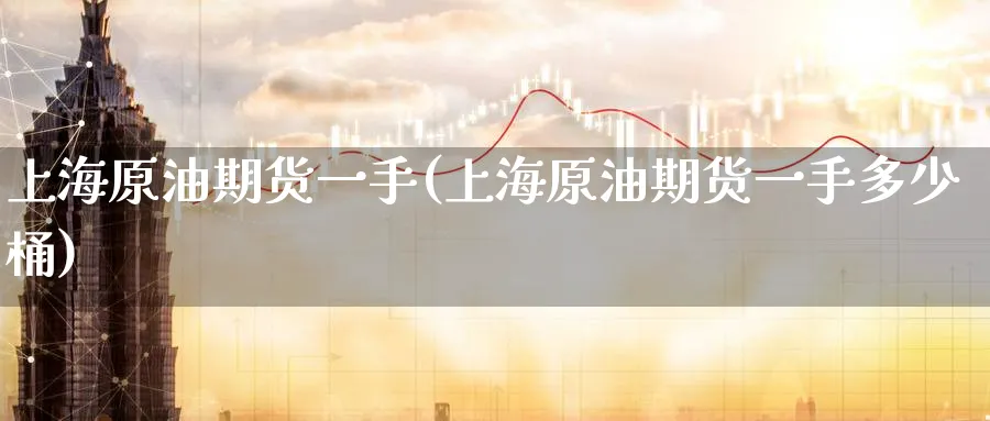 上海原油期货一手(上海原油期货一手多少桶)