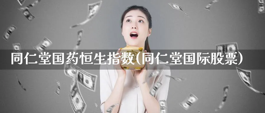 国药恒生指数(国际股票)