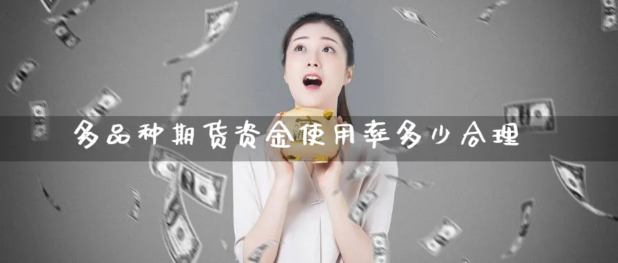 多品种期货资金使用率多少合理