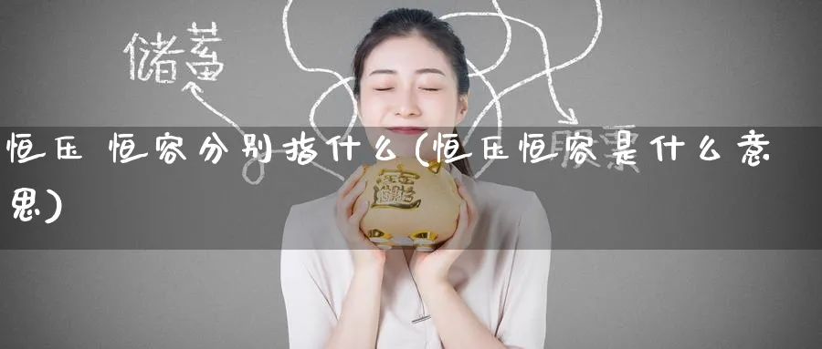 恒压 恒容分别指什么(恒压恒容是什么意思)