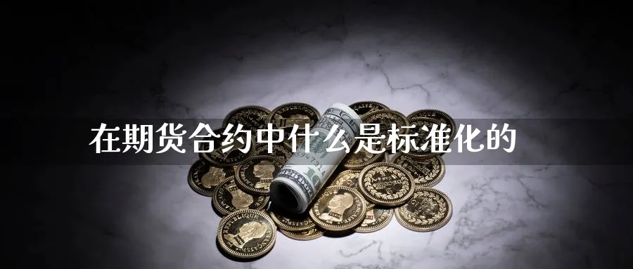 在期货合约中什么是标准化的