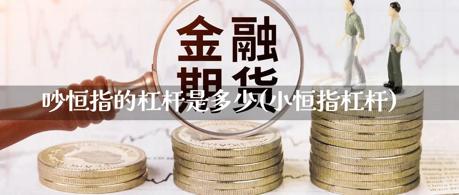 吵恒指的杠杆是多少(小恒指杠杆)