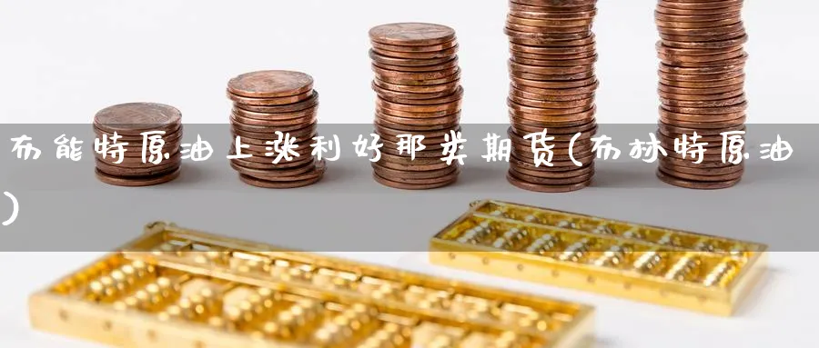 布能特原油上涨利好那类期货(布林特原油)