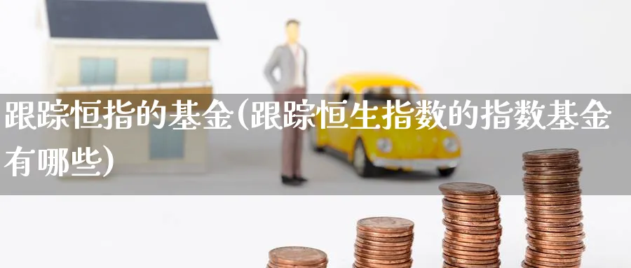 恒指的基金(恒生指数的指数基金有哪些)