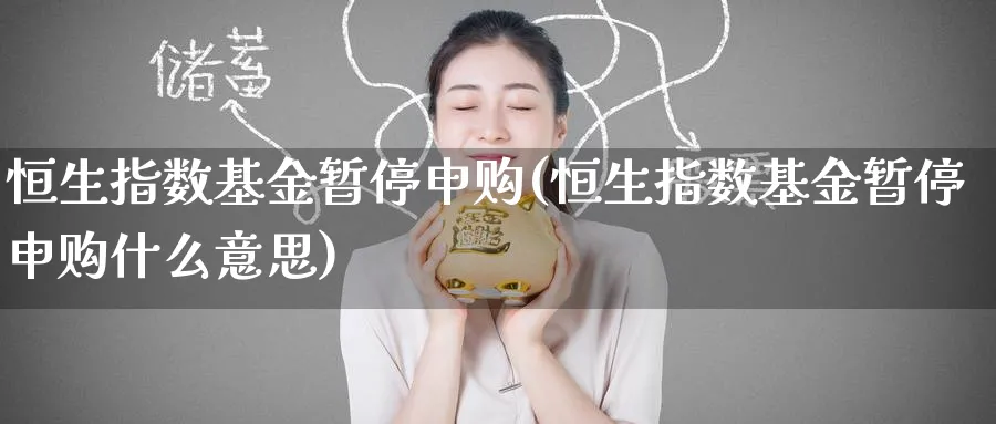 恒生指数基金暂停申购(恒生指数基金暂停申购什么意思)