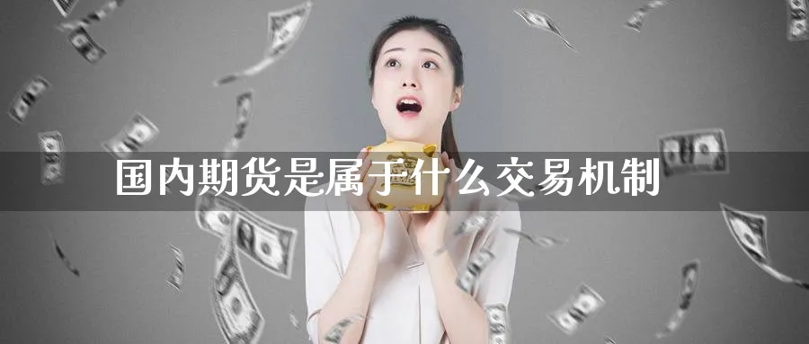 国内期货是属于什么交易机制