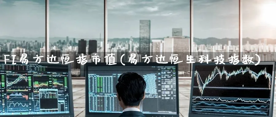 FI易方达恒指市值(易方达恒生科技指数)