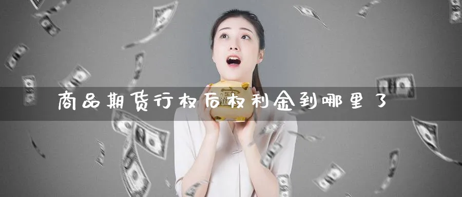 商品期货行权后权利金到哪里了