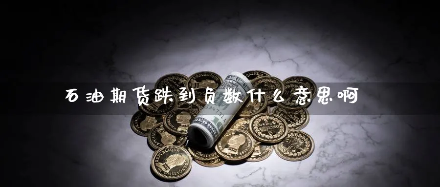 石油期货跌到负数什么意思啊
