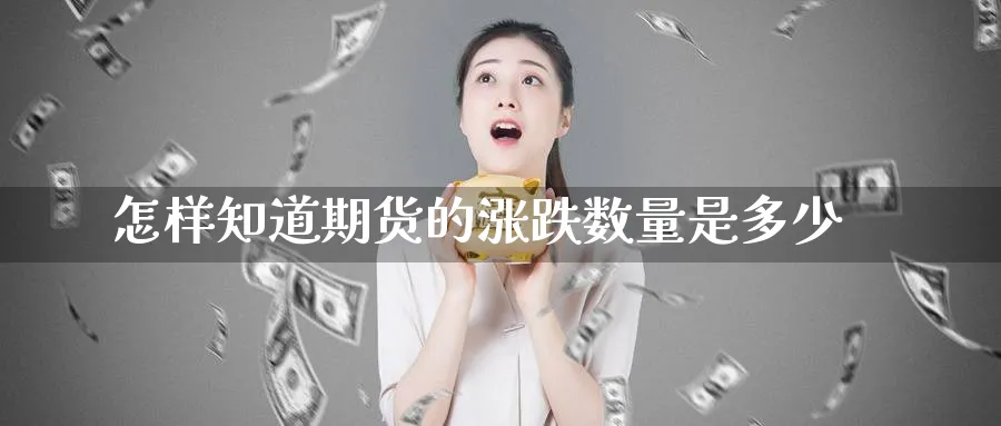 怎样知道期货的涨跌数量是多少