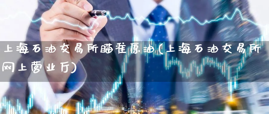 上海石油交易所瞄准原油(上海石油交易所网上营业厅)