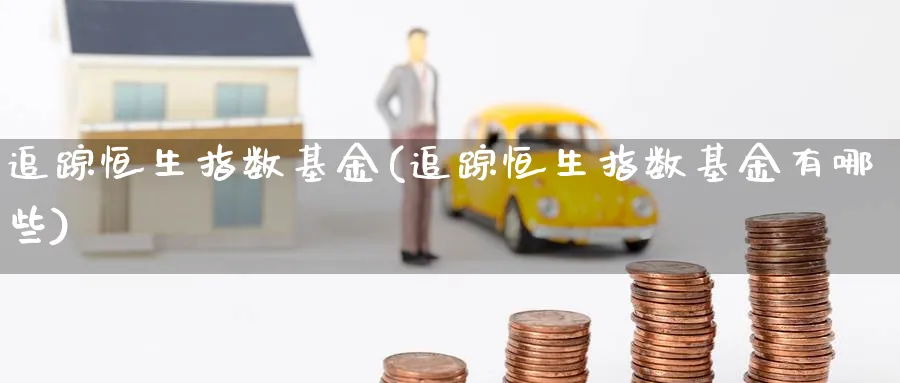 追踪恒生指数基金(追踪恒生指数基金有哪些)