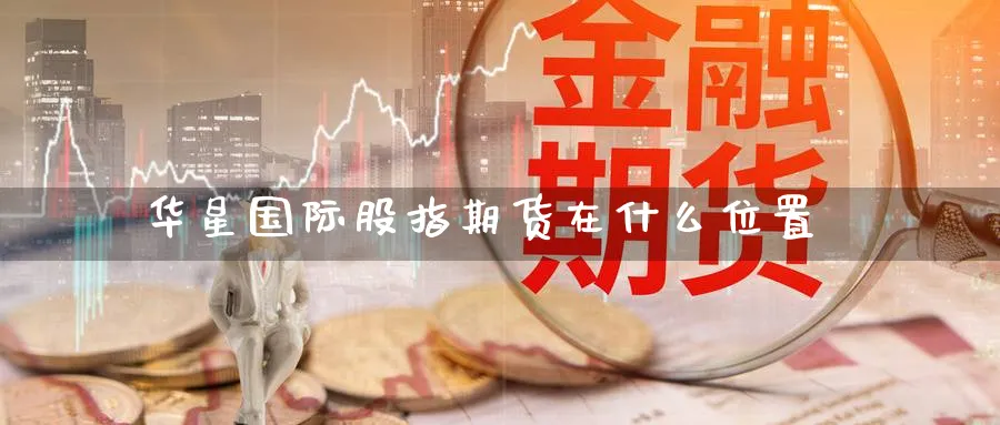 华星国际股指期货在什么位置