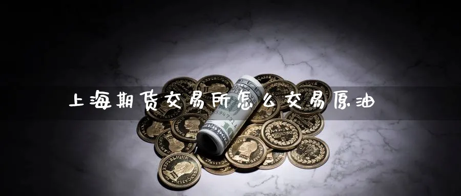 上海期货交易所怎么交易原油_https://www.lytzg.com_美原油期货_第1张
