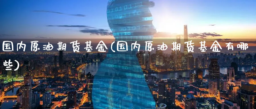 国内原油期货基金(国内原油期货基金有哪些)